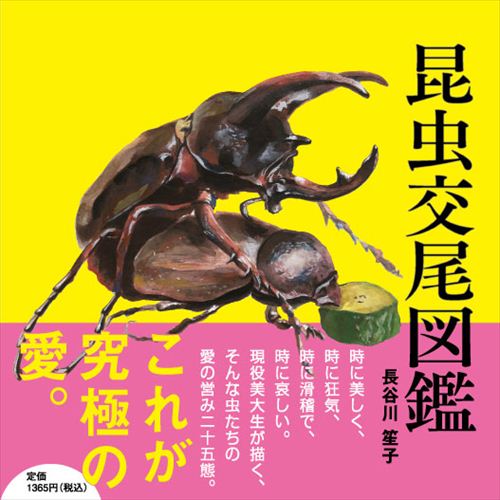 【画像】 東京藝大の現役女子大生が描いた昆虫交尾図鑑ｗｗｗｗｗｗ