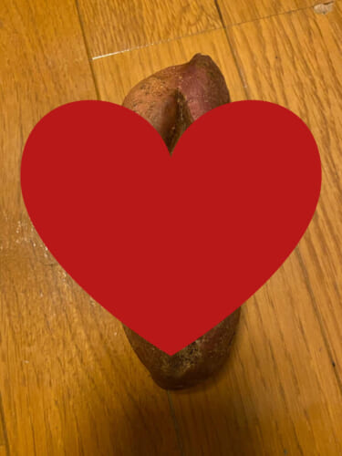 【画像】まんこに似てるサツマイモ買ってきた
