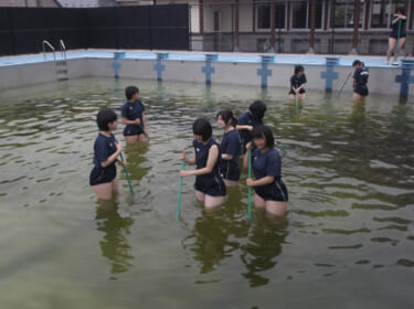 【画像】女子校のプールの清掃、楽しそう